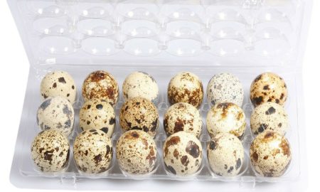 Umbilla quail Eggs